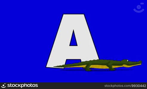 Animated animal alphabet. HD footage with chroma key. Animal in the foreground of a letter.