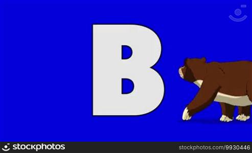 Animated animal alphabet. HD footage with chroma key. Animal in the foreground of a letter.