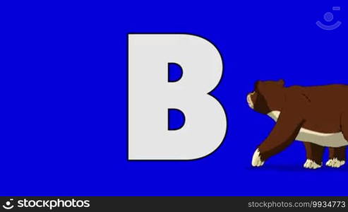 Animated animal alphabet. Motion graphic with chroma key. Animal in the foreground of a letter.