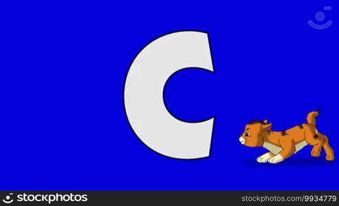 Animated animal alphabet. Motion graphic with chroma key. Animal in the foreground of a letter.