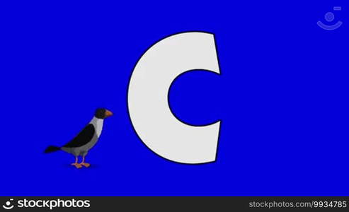 Animated animal alphabet. Motion graphic with chroma key. Animal in the foreground of a letter.