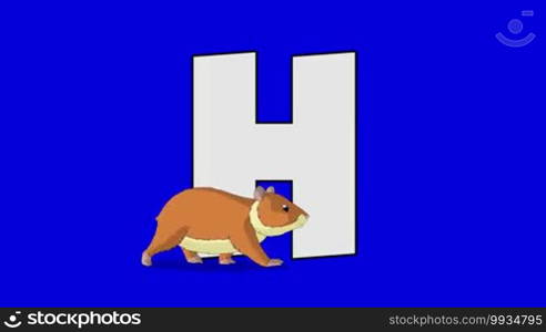 Animated animal alphabet. Motion graphic with chroma key. Animal in the foreground of a letter.