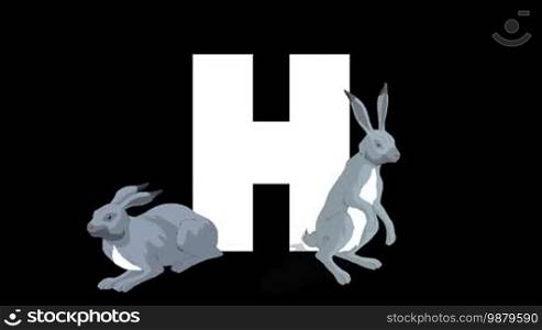 Animated zoological English alphabet. Alpha matte motion graphic. Cartoon Hare in a foreground of a letter H