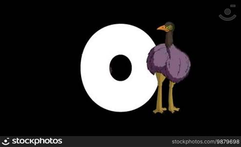 Animated zoological English alphabet. Alpha matte motion graphic. Cartoon Ostrich in a foreground of a letter O