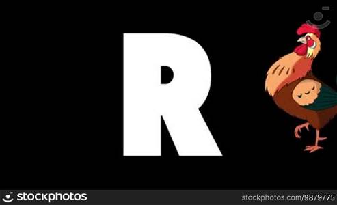 Animated zoological English alphabet. Alpha matte motion graphic. Cartoon Rooster in a background of a letter R