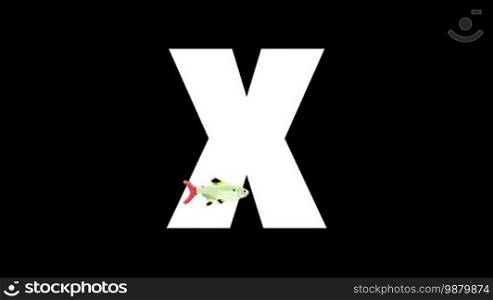 Animated zoological English alphabet. Alpha matte motion graphic. Cartoon X-ray fish in a foreground of a letter X