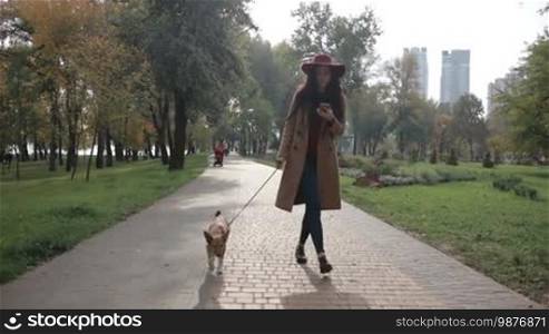 Attractive fashionable female texting message on smartphone while walking her dog in autumn park. Beautiful young woman in trendy outfit surfing the net with cell phone while relaxing with puppy in public park. Steadicam stabilized shot. Slow motion.