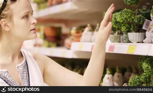 Attractive young blond woman with her sunglasses on her head standing in a shop choosing different shaped potted house plants