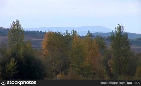 Autumn morning on the river (River Prut, Ukraine)