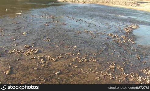 Autumn morning on the river (River Prut, Ukraine)