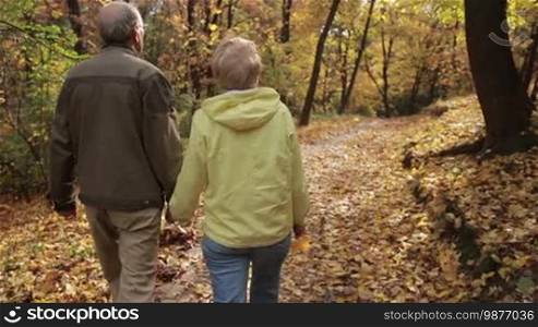 Back view of senior couple in love walking hand in hand through autumn woodland. Happy elderly couple taking a walk on footpath covered with yellow fallen foliage while enjoying freetime in colorful autumn park. Stabilized shot. Slow motion.