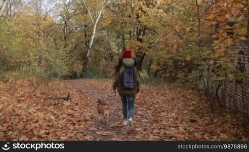 Back view of trendy long brown hair hipster girl with cute pooch doggy running in autumn park. Attractive young woman in stylish outfit with her best friend little puppy taking a walk on park walkway covered with yellow fallen leaves. Slo mo.