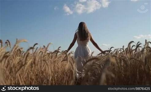 Beautiful blond female with long hair in summer dress walking through wheat field. Low angle view. Rear view of lovely joyful woman with arms outstretched going along cereal field against blue cloudy sky background. Slow motion. Stabilized shot.
