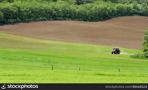 Beautiful cereal field in a windy day