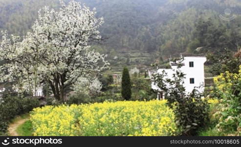 Beautiful old village in China