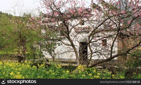 Beautiful old village in China