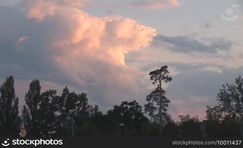 Big cloud moved into the sky