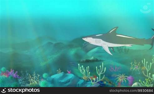 Big shark swimming in the ocean. Sudden shark attack. Full-color handmade animation in HD