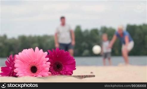 Blurred background of family playing ball on the beach during summer holidays. Foreground flowers lying on wooden board on the sand