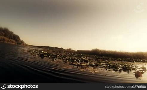 Boat ride through the wetland swamp