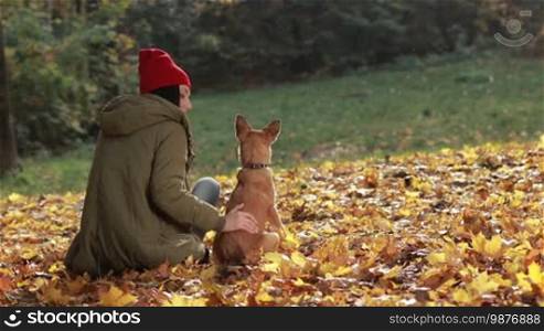 Charming hipster woman in trendy clothes and her dog sitting on yellow fallen leaves in the park enjoying beautiful autumn landscape. Back view. Gorgeous long brown hair girl stroking her cute doggy in autumn park. Slow motion.