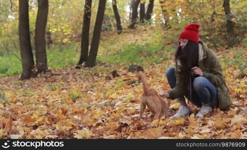 Cheerful cute dog with female owner playing in yellow foliage in public park. Positive hipster girl with loyal friend dog enjoying leisure, relaxing outdoors as the wind blowing yellow fallen leaves over colorful autumn landscape background. Slo mo.