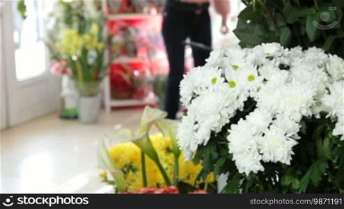 Chrysanthemums in flower shop, in the background female customer chooses a bouquet
