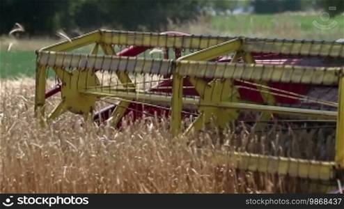 Close up on combine machine harvesting ripe wheat