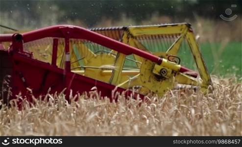 Close up on combine machine harvesting ripe wheat, tracking shot