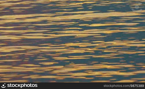 Close-up shot of water surface with reflection of golden sunset light