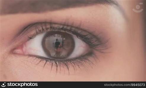 Close Up Shot on Eye of Young Woman With Natural Makeup