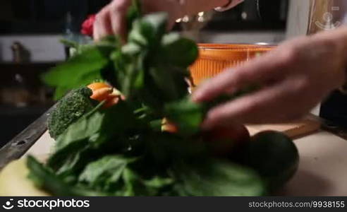 Closeup of female hands putting wet spinach leaves into a plastic salad spinner in the kitchen while preparing healthy food at home. Foreground colorful fruits and vegetables laying on the table. Mechanical greens dryer