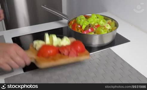 Closeup shot of a pan on the cooker. Unseen person is cooking stew of vegetables, adding some into the pan and stirring.
Formatted:
Close-up shot of a pan on the cooker. An unseen person is cooking a vegetable stew, adding some into the pan and stirring.