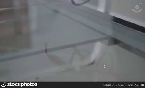 Closeup woman's hand putting glasses on the table