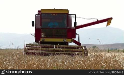 Combine machine harvesting ripe wheat