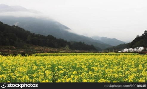 Countryside in China