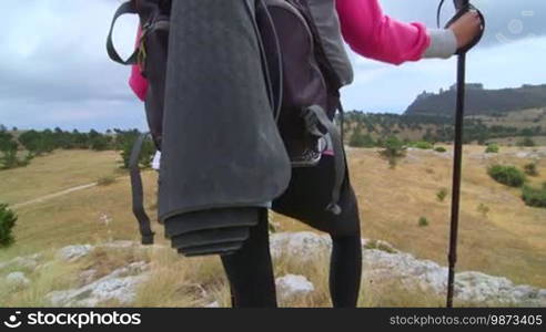 Crane shot of woman hiker enjoying the view at plateau mountain peak, rear view