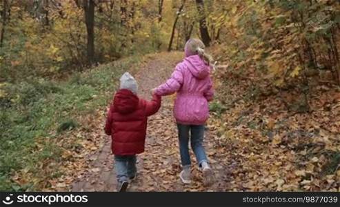 Cute toddler boy and his teenage sister holding hands and running through colorful autumn park. Back view. Joyful siblings playing and running on park walkway in Indian summer over golden fall background. Steadicam stabilized shot. Slow motion.