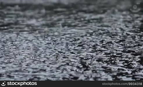 Dense rain pours pavement