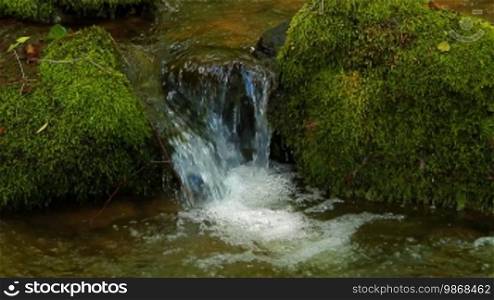 Detail of a fresh forest creek with mossy stones
