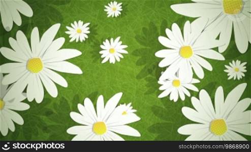 Dynamic graphic animation using paper cutout styled elements to illustrate summer daisies on grass. High definition 1080p and loop-ready. This is one of a suite of simple paper cutout style animated illustrations which have similar dynamics. Please check