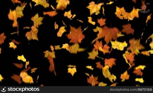 Falling leaves - masked 3D animation loop