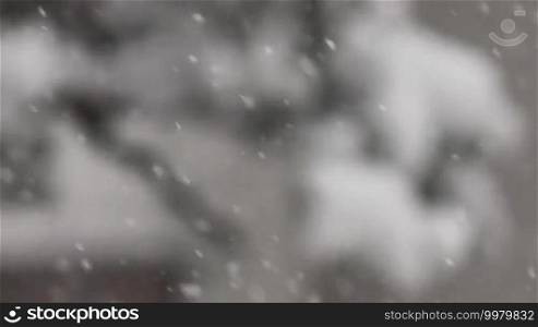 Falling snow creates a winter background