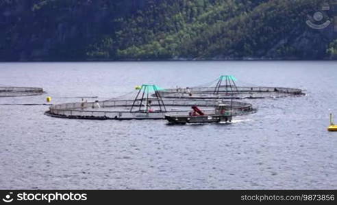 Farm salmon fishing in Norway