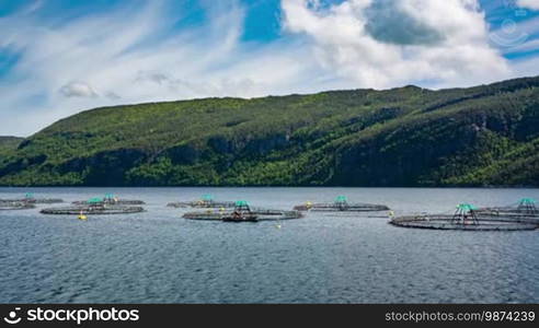 Farm salmon fishing in Norway