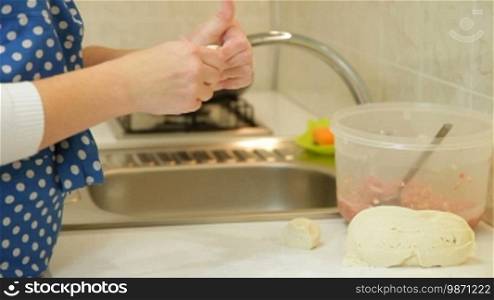 Female Hands Kneading Dough For Meat Pasty Closeup