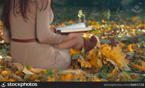 Female Student Reading Lecture Notes in Autumn Park
