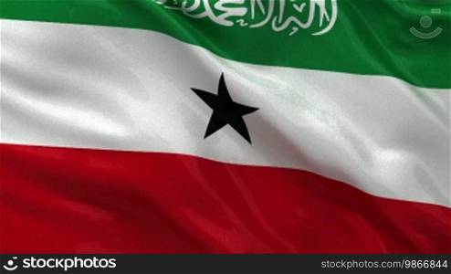 Flag of Somaliland in the wind as a loop