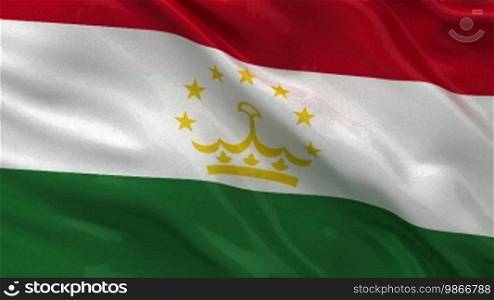 Flag of Tajikistan in the wind. Endless loop.