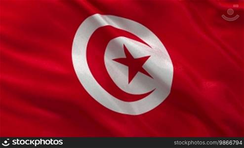Flag of Tunisia in the wind. Endless loop.